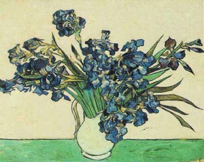 Vincent Van Gogh Vase with Irises oil painting image
